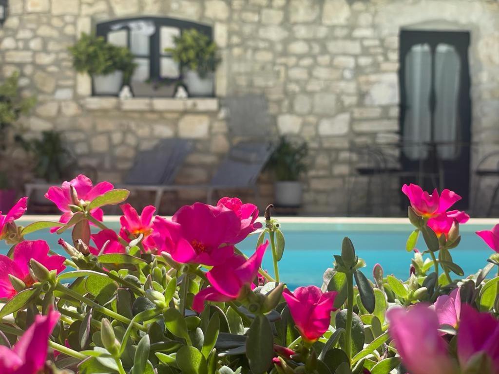 Maison D'Hotes Payan Champier Saint-Paul-Trois-Châteaux Kültér fotó
