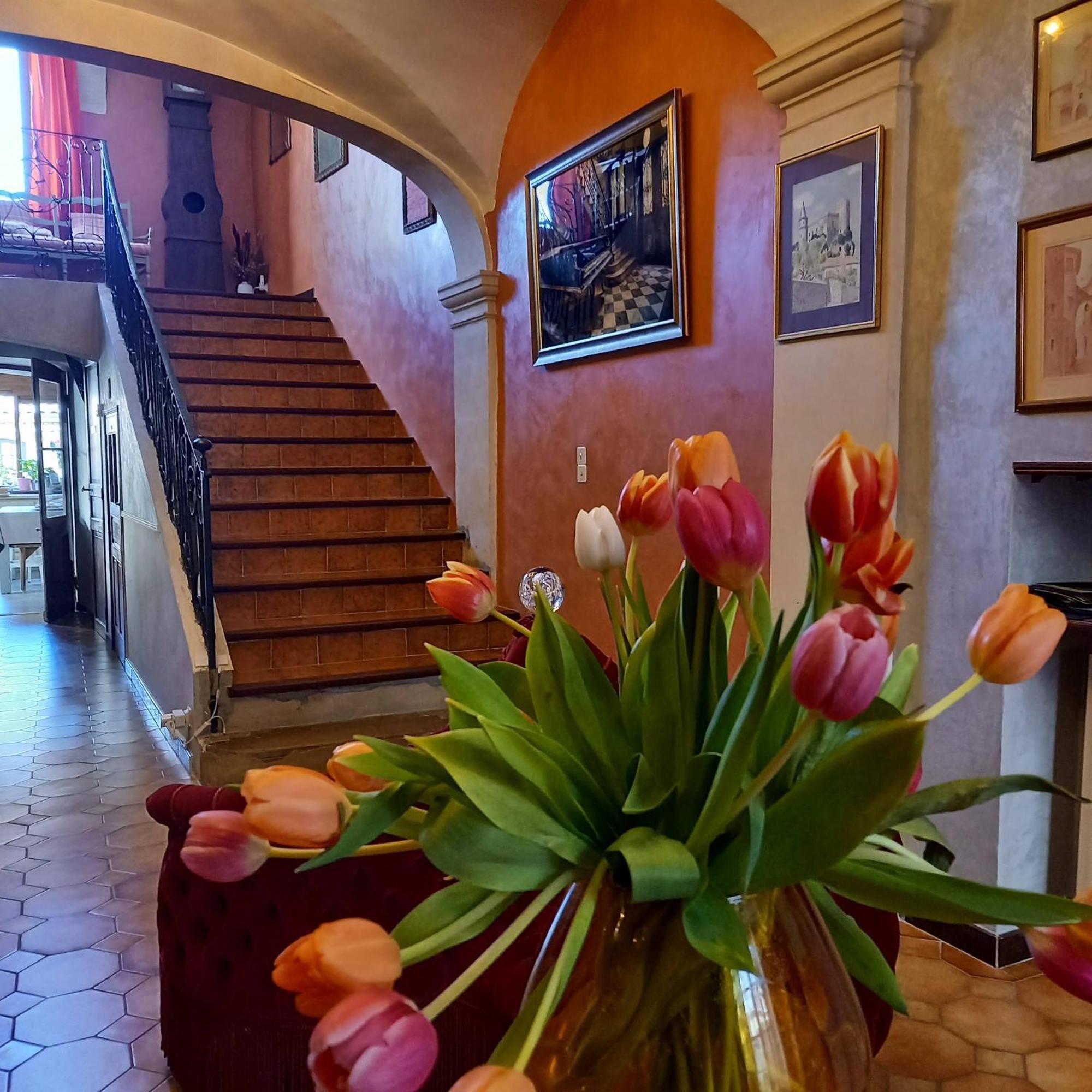 Maison D'Hotes Payan Champier Saint-Paul-Trois-Châteaux Kültér fotó